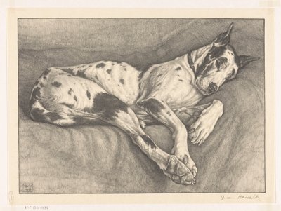 alvó kutya alkotó: Bertha van Hasselt (signed by artist)