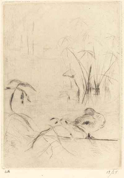 Kacsák nyugalomban a parton alkotó: Berthe Morisot