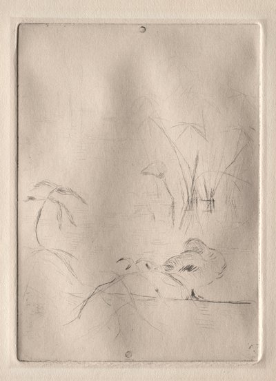 A kacsa alkotó: Berthe Morisot