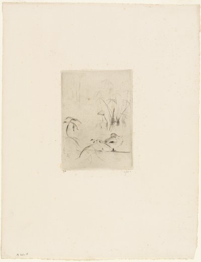 A kacsa alkotó: Berthe Morisot