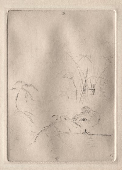 A kacsa, 1888-90. alkotó: Berthe Morisot