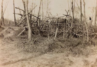 Album az első világháborúról Friuli-Venezia Giuliában: védekező akadály (fríz lovak), 1916/05 (f / w fotó) alkotó: Bertoni Bertoni