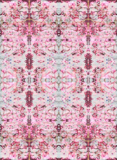 Burgundi rózsa, 2015 (vegyes technika, illusztráció, digitális) alkotó: Beth Travers
