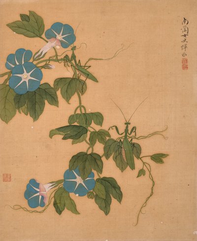 Reggeli dicsőség a Virágok albumából (tus és szín, selyem) alkotó: Bing Yun