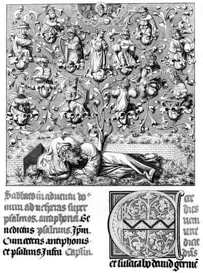 Égi hangverseny, 1849. XV. alkotó: Bisson and Cottard