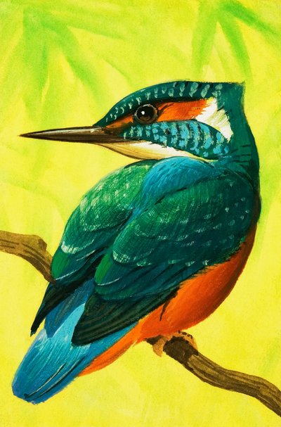 Jégmadár. alkotó: Bob Hersey