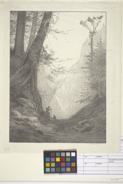 Nagy cédrusok (tinta papírra, litográfia) alkotó: Bolton Coit Brown