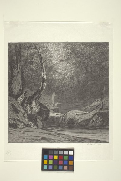 Görbe fa (tinta papíron) alkotó: Bolton Coit Brown