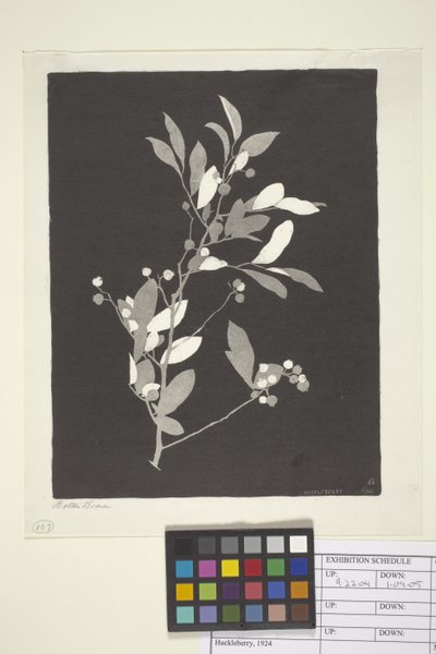 Huckleberry (tinta papíron) alkotó: Bolton Coit Brown