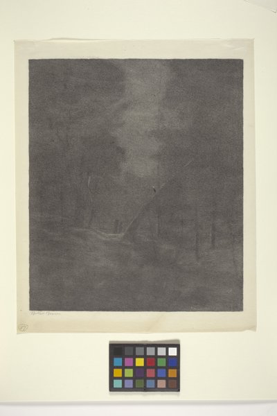 Moonlight Woods (tinta papíron) alkotó: Bolton Coit Brown