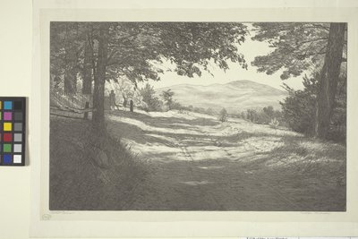 Északi nézet (tinta papíron) alkotó: Bolton Coit Brown