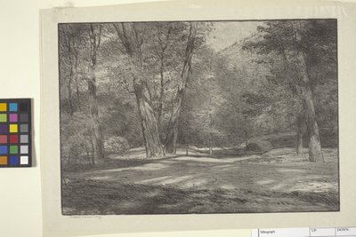 Sierra Woods (tinta papíron) alkotó: Bolton Coit Brown