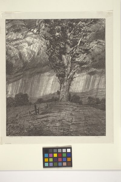 Vihar (tinta papíron) alkotó: Bolton Coit Brown