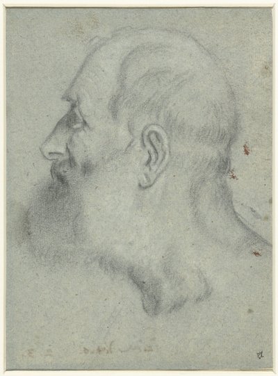 Szakállas férfi feje, profilban balra alkotó: Bonifazio Veronese (attributed to)