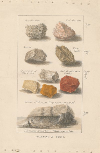 Kövek példányai. Illusztráció bizonyítéka Wright „Globe Prepared for Man” című művéhez. alkotó: Bradshaw and Blacklock