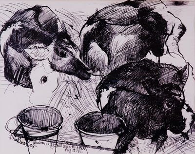 Borjak, nedves, újszülött, 1978 alkotó: Brenda Brin Booker