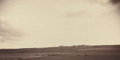 Kilátás a mezőkre tehenekkel alkotó: British 19th Century