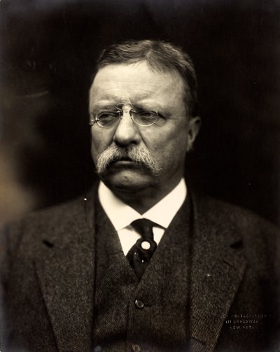 Theodore Roosevelt, 1915 körül (f/w fotó) alkotó: Brothers Pach