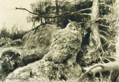 Berguv (sasbagoly) Bubo Bubo alkotó: Bruno Andreas Liljefors