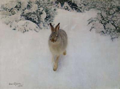 Nyúl télen alkotó: Bruno Andreas Liljefors