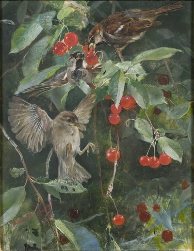 Veréb a cseresznyefában, 1885 alkotó: Bruno Andreas Liljefors