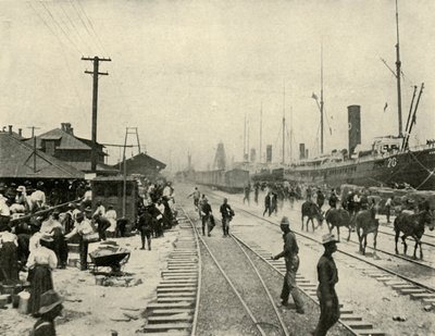 Elengedett rabok, spanyol-amerikai háború, 1898. június, 1899. alkotó: Burr McIntosh