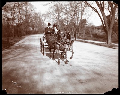 Anna Held és Florenz Ziegfeld lovaskocsin, New York, 1904 (ezüstzselatinos nyomat) alkotó: Byron Company