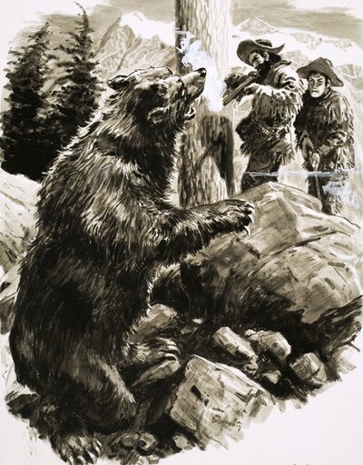 Amerikai grizzly medvét lőttek le a csapdászok alkotó: C.L. Doughty