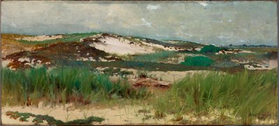 Nantucket homokdűne alkotó: C. Morgan McIlhenney