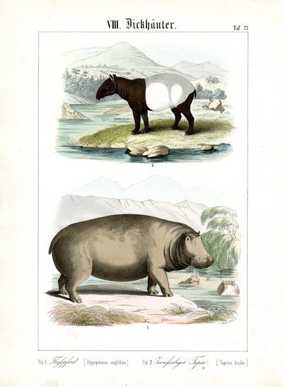  alkotó: C. Roth