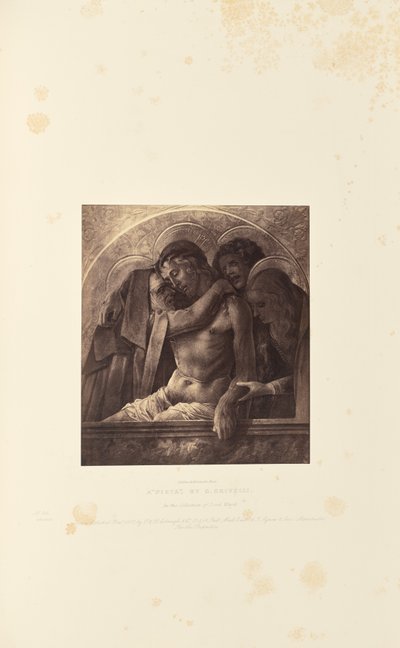 A "Pieta", C. Crivelli alkotása. alkotó: Caldesi and Montecchi