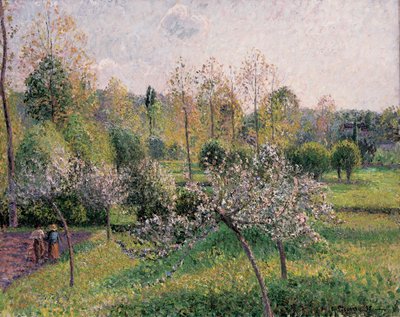 Apple Trees in Blossom, Eragny, 1895 alkotó: Camille Jacob Pissarro