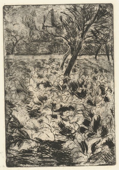 A gumós mező Le champ de choix alkotó: Camille Jacob Pissarro