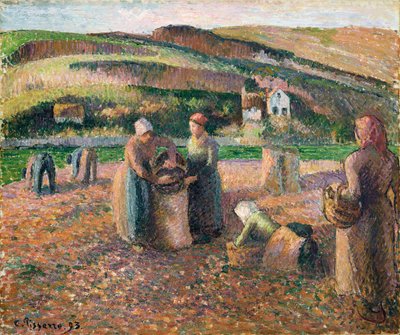 Burgonyaszedés, 1893 alkotó: Camille Jacob Pissarro