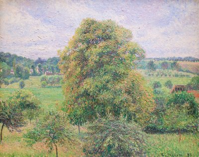 Nagy diófa Eragnyban alkotó: Camille Pissarro