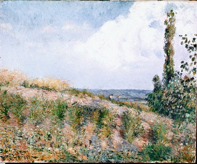 Táj (olaj, vászon) alkotó: Camille Jacob Pissarro