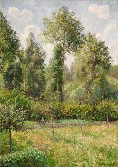 Nyárfák, Éragny, 1895. alkotó: Camille Jacob Pissarro