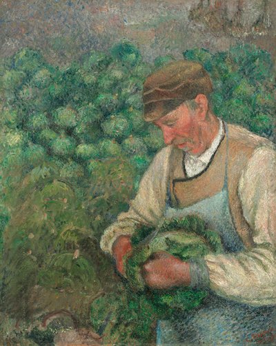 A kertész - öreg paraszt káposztával alkotó: Camille Pissarro