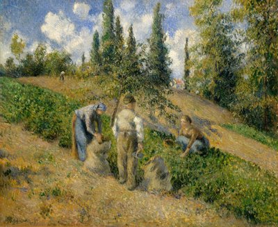 The Harvest, Pontoise The Harvest, Pontoise, 1881. alkotó: Camille Jacob Pissarro