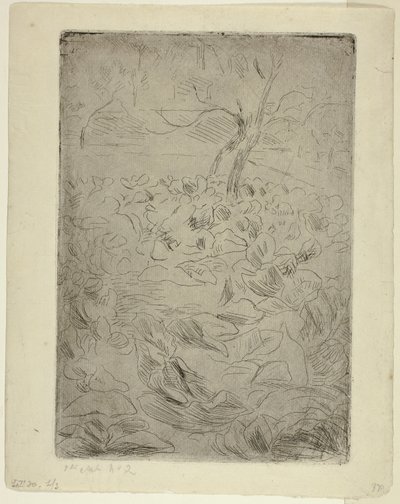 Nő a konyhakertben alkotó: Camille Pissarro
