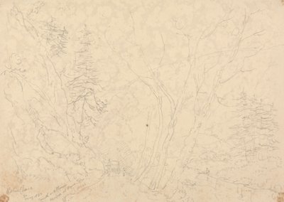 Holne Chase, 1833. május 30 alkotó: Capt. Thomas Hastings