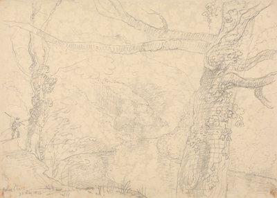 Holne Chase, 1833. május 30 alkotó: Capt. Thomas Hastings