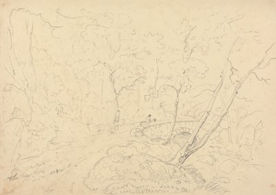 Holne Chase híd és folyó, 1833. május 30 alkotó: Capt. Thomas Hastings