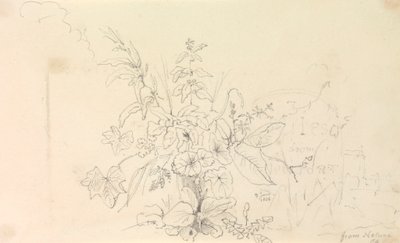 Vázlat a növényekről és egy mérföldkő a természetből, 1826. június 3 alkotó: Capt. Thomas Hastings