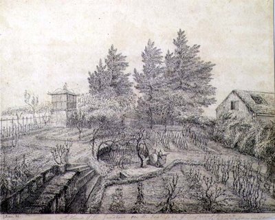Kilátás I. Napóleon kertjére a Longwood House keleti oldalán alkotó: Captain G. Rotton