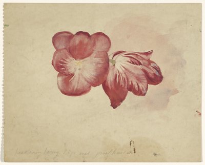 Két piros tulipán alkotó: Carel Adolph Lion Cachet