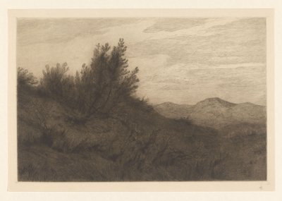 dűne táj Les Dunes at Zandvoort (eredeti cím) alkotó: Carel Nicolaas Storm van 