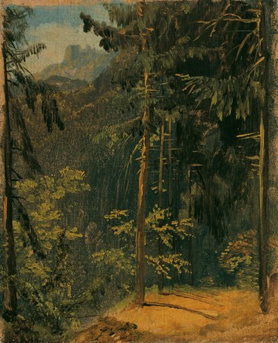 Erdei ösvény a Harzban alkotó: Carl Blechen