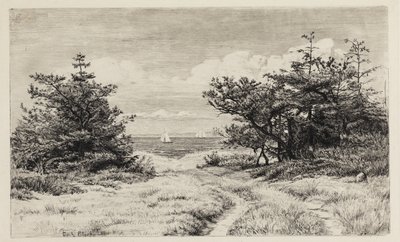 Kilátás a tengerre alkotó: Carl Bloch