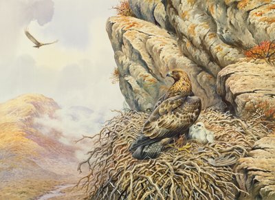 Arany sasok az Eyrie-ben alkotó: Carl Donner